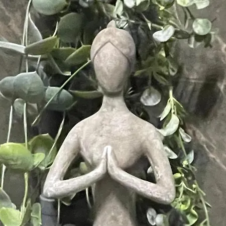 Paco *